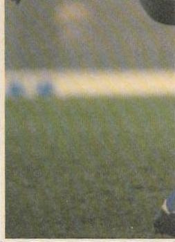 1986 Scanlens VFL #125 Trevor Poole Back